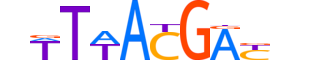 HXB9.H14CORE.1.M.C motif logo (HOXB9 gene, HXB9_HUMAN protein)