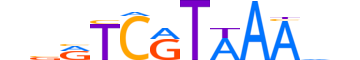 HXD10.H14CORE.0.SM.B reverse-complement motif logo (HOXD10 gene, HXD10_HUMAN protein)