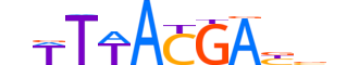 HXD12.H14CORE.0.SM.B motif logo (HOXD12 gene, HXD12_HUMAN protein)