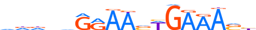 IRF4.H14CORE.0.P.B motif logo (IRF4 gene, IRF4_HUMAN protein)