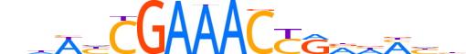 IRF4.H14CORE.2.SM.B motif logo (IRF4 gene, IRF4_HUMAN protein)