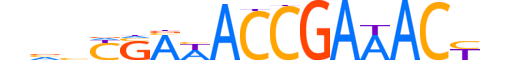 IRF6.H14CORE.1.S.C motif logo (IRF6 gene, IRF6_HUMAN protein)