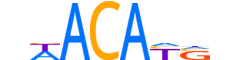 IRX3.H14CORE.1.S.B reverse-complement motif logo (IRX3 gene, IRX3_HUMAN protein)