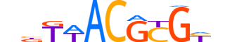 IRX5.H14CORE.0.M.C reverse-complement motif logo (IRX5 gene, IRX5_HUMAN protein)