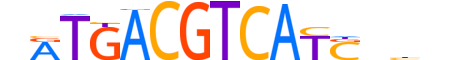 JUNB.H14CORE.1.S.C motif logo (JUNB gene, JUNB_HUMAN protein)