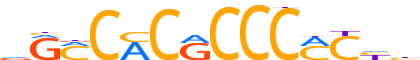 KLF9.H14CORE.0.P.B reverse-complement motif logo (KLF9 gene, KLF9_HUMAN protein)