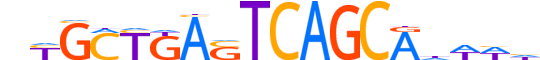 MAFG.H14CORE.0.PSM.A reverse-complement motif logo (MAFG gene, MAFG_HUMAN protein)