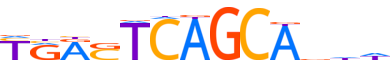 MAFK.H14CORE.1.P.B reverse-complement motif logo (MAFK gene, MAFK_HUMAN protein)