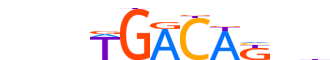 MEIS1.H14CORE.1.PS.A motif logo (MEIS1 gene, MEIS1_HUMAN protein)