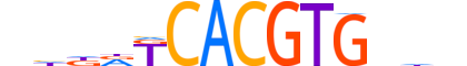 MLXPL.H14CORE.0.S.B motif logo (MLXIPL gene, MLXPL_HUMAN protein)