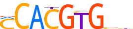 MNT.H14CORE.0.PS.A reverse-complement motif logo (MNT gene, MNT_HUMAN protein)