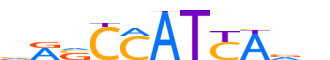 NANOG.H14CORE.1.P.B reverse-complement motif logo (NANOG gene, NANOG_HUMAN protein)