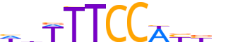 NFAC2.H14CORE.1.PS.A reverse-complement motif logo (NFATC2 gene, NFAC2_HUMAN protein)