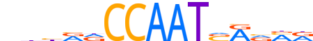 NFYA.H14CORE.0.P.B motif logo (NFYA gene, NFYA_HUMAN protein)