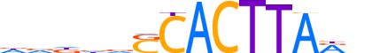 NKX31.H14CORE.0.PSM.A reverse-complement motif logo (NKX3-1 gene, NKX31_HUMAN protein)