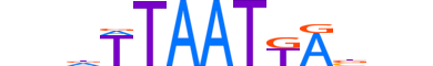 NKX61.H14CORE.2.S.B motif logo (NKX6-1 gene, NKX61_HUMAN protein)