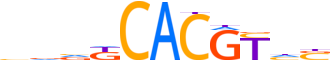 NPAS3.H14CORE.0.P.C reverse-complement motif logo (NPAS3 gene, NPAS3_HUMAN protein)