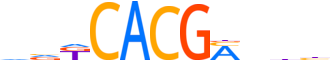 NPAS4.H14CORE.0.P.B reverse-complement motif logo (NPAS4 gene, NPAS4_HUMAN protein)