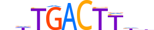 NR2E1.H14CORE.0.SM.B reverse-complement motif logo (NR2E1 gene, NR2E1_HUMAN protein)