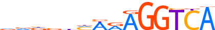 NR2F6.H14CORE.0.P.C motif logo (NR2F6 gene, NR2F6_HUMAN protein)