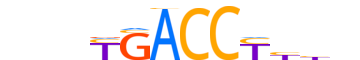 NR2F6.H14CORE.1.PSM.A reverse-complement motif logo (NR2F6 gene, NR2F6_HUMAN protein)