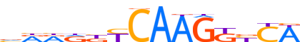 NR6A1.H14CORE.0.P.C motif logo (NR6A1 gene, NR6A1_HUMAN protein)