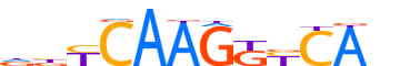 NR6A1.H14CORE.1.P.C motif logo (NR6A1 gene, NR6A1_HUMAN protein)