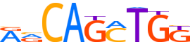 OLIG2.H14CORE.1.P.B reverse-complement motif logo (OLIG2 gene, OLIG2_HUMAN protein)