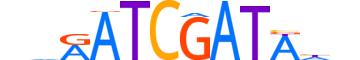 ONEC2.H14CORE.0.S.B reverse-complement motif logo (ONECUT2 gene, ONEC2_HUMAN protein)