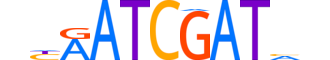 ONEC3.H14CORE.1.S.C reverse-complement motif logo (ONECUT3 gene, ONEC3_HUMAN protein)