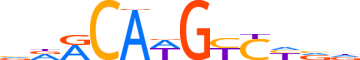 P63.H14CORE.1.PS.A reverse-complement motif logo (TP63 gene, P63_HUMAN protein)