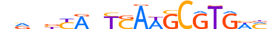 PAX5.H14CORE.0.PS.A motif logo (PAX5 gene, PAX5_HUMAN protein)