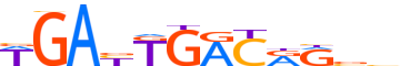 PBX1.H14CORE.0.P.B motif logo (PBX1 gene, PBX1_HUMAN protein)