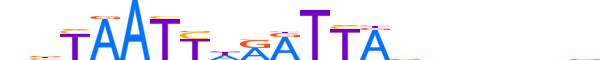 PHX2A.H14CORE.0.PS.A reverse-complement motif logo (PHOX2A gene, PHX2A_HUMAN protein)