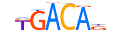 PKNX1.H14CORE.2.SM.B motif logo (PKNOX1 gene, PKNX1_HUMAN protein)