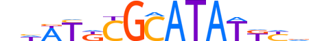PO2F2.H14CORE.1.M.C reverse-complement motif logo (POU2F2 gene, PO2F2_HUMAN protein)