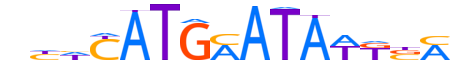 PO3F1.H14CORE.1.PS.A motif logo (POU3F1 gene, PO3F1_HUMAN protein)