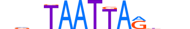 PO6F2.H14CORE.0.S.B motif logo (POU6F2 gene, PO6F2_HUMAN protein)