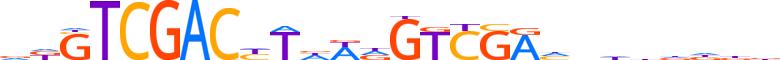 POGK.H14CORE.0.SI.A reverse-complement motif logo (POGK gene, POGK_HUMAN protein)
