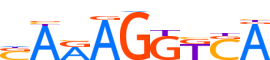 PPARA.H14CORE.1.P.B motif logo (PPARA gene, PPARA_HUMAN protein)