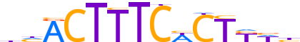 PRDM1.H14CORE.1.PS.A reverse-complement motif logo (PRDM1 gene, PRDM1_HUMAN protein)