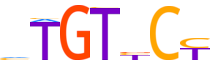 PRGR.H14CORE.1.P.B reverse-complement motif logo (PGR gene, PRGR_HUMAN protein)