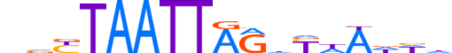 PRRX1.H14CORE.1.S.B motif logo (PRRX1 gene, PRRX1_HUMAN protein)