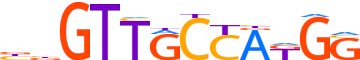 RFX1.H14CORE.0.PM.A motif logo (RFX1 gene, RFX1_HUMAN protein)