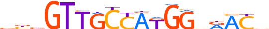 RFX1.H14CORE.1.PSM.A motif logo (RFX1 gene, RFX1_HUMAN protein)