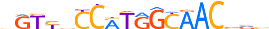 RFX1.H14CORE.1.PSM.A reverse-complement motif logo (RFX1 gene, RFX1_HUMAN protein)