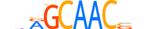 RFX1.H14CORE.2.S.C reverse-complement motif logo (RFX1 gene, RFX1_HUMAN protein)