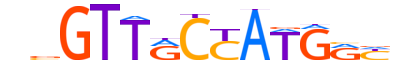 RFX2.H14CORE.0.PS.A motif logo (RFX2 gene, RFX2_HUMAN protein)