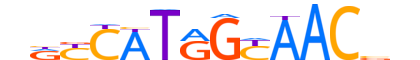 RFX2.H14CORE.0.PS.A reverse-complement motif logo (RFX2 gene, RFX2_HUMAN protein)