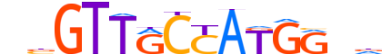 RFX3.H14CORE.1.PS.A motif logo (RFX3 gene, RFX3_HUMAN protein)